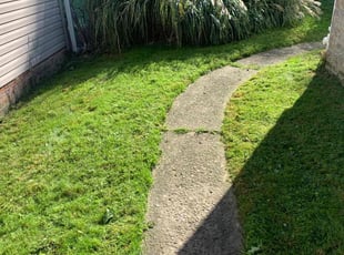 Michael D.'s Lawn Service service result