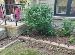 Bush Trimming by Orlando Perea for Tracey B. in Milwaukee, WI