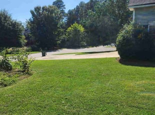 Chyvonna D.'s Lawn Service service result