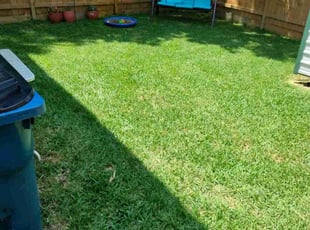 Janet H.'s Grass Cutting service result