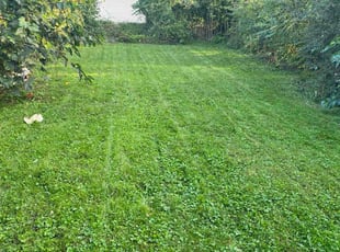 Destiny O.'s Lawn Care service result