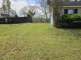 Mike H.'s Lawn Service service result