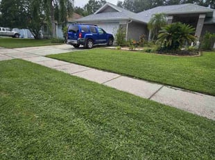Doug W.'s Lawn Mowing Service service result