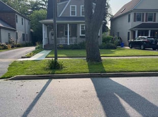 Keena M.'s Lawn Service service result