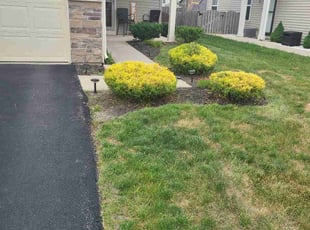 Bush Trimming by Francelia Aviles for Susan M. in Hampshire, IL