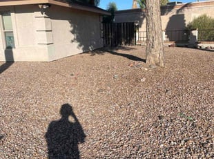 Leaf Removal by Andrew Hoodzow for Bernadette C. in Mesa, AZ