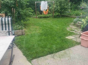 Titus R.'s Lawn Mowing service result