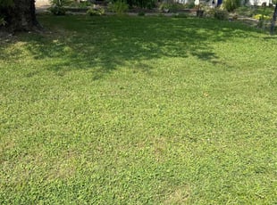 John L.'s Lawn Mowing Service service result
