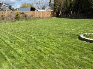 Andrew K.'s Lawn Mowing Service service result