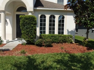 Bush Trimming by Kenneal Stewart for Amanda M. in Wesley Chapel, FL