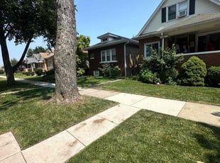 Lucas M.'s Lawn Mowing service result