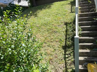 Jonathan W.'s Grass Cutting service result
