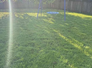 Tammy Y.'s Lawn Maintenance service result