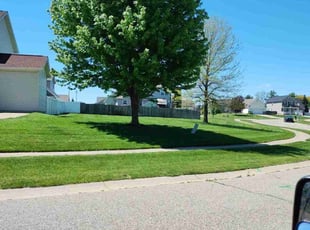Esther P.'s Grass Cutting service result