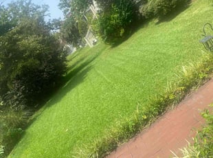 Matthew B.'s Yard Cutting service result