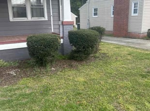 Bush Trimming by Martin Stovall for Barbie J. in Suffolk, VA