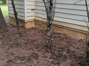 Leaf Removal by Matthew Veal for Camille P. in Lawrenceville, GA