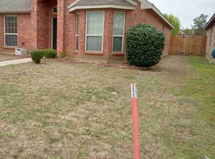 Bush Trimming by Brian Dudley for Tenisha F. in Arlington, TX