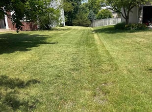 James W.'s Lawn Maintenance service result