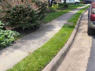 Alanna B.'s Lawn Mowing service result