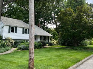 P R.'s Lawn Mowing service result
