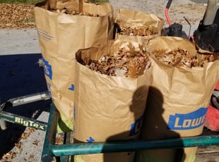 Leaf Removal by Willie Tisdel for Jeanette S. in Fairview Park, OH