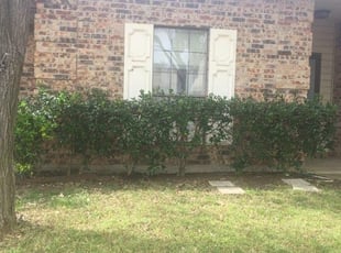 Landscaping by John Potter for Matthew S. in Garland, TX