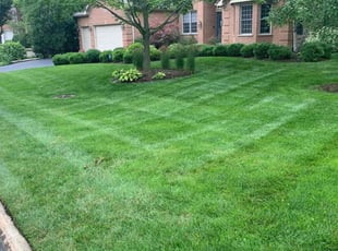 Lonnie M.'s Lawn Maintenance service result