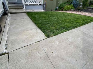 Tony L.'s Lawn Care service result
