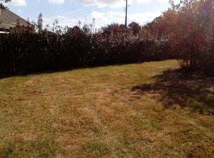 Leaf Removal by Nikolay Maldzhiev for Janna B. in Katy, TX