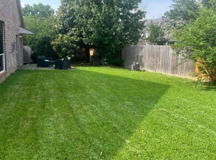 Alec N.'s Grass Cutting service result