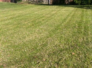Ruth M.'s Lawn Care service result