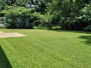 Vicki R.'s Lawn Mowing service result