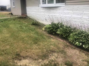 Dallas C.'s Lawn Maintenance service result