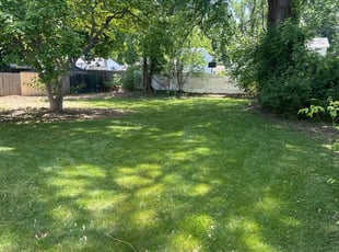 Dellia B.'s Grass Cutting service result
