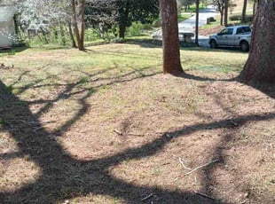 Leaf Removal by Timothy Graham for Ethan A. in Decatur, GA