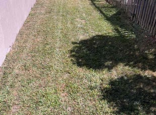 BAHA T.'s Lawn Service service result