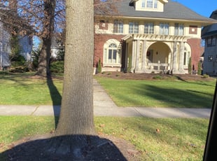 Leaf Removal by James Serio for Lawrence W. in Rochester, NY