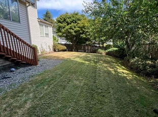 Tr G.'s Lawn Mowing Service service result