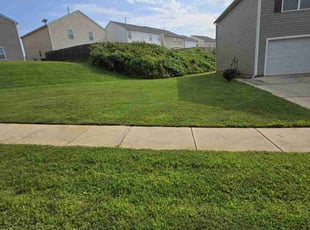 Joshua R.'s Lawn Care service result