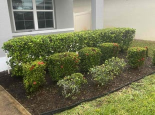 Bush Trimming by Paul Bartholomew for Courtney S. in Palm Bay, FL