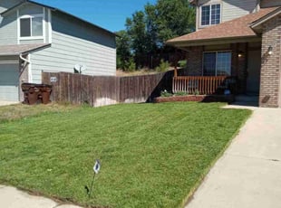 Latasha J.'s Lawn Service service result