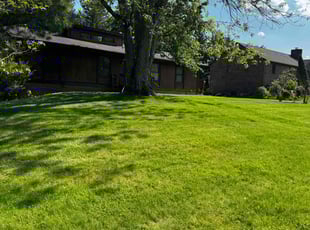 Toddrick S.'s Lawn Maintenance service result