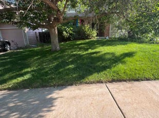 Kaleb H.'s Lawn Service service result