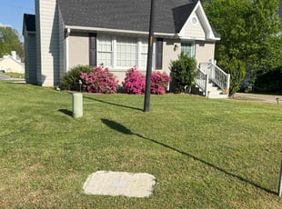 Ariana H.'s Grass Cutting service result
