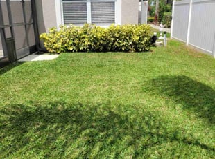 Samuel o.'s Lawn Care service result