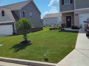 Christian B.'s Yard Cutting service result