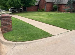 Andrew H.'s Yard Cutting service result