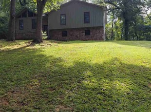 Betty C.'s Yard Cutting service result