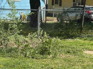 Bush Trimming by Marsi Perry for Malty J. in El Dorado, KS